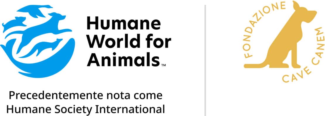 Co-branding Humane World for Animals e Fondazione Cave Canem